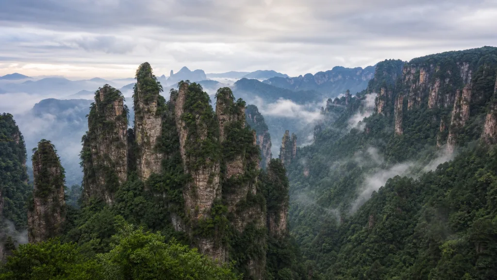 雨后薄雾中的张家界石英砂岩峰林